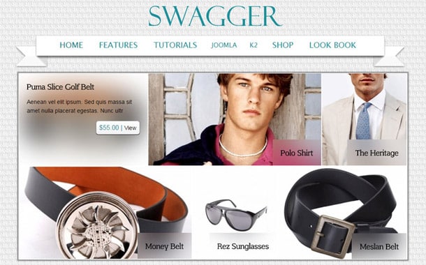 Swagger Joomla Template